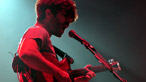 Foals