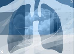Lungs