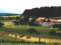 Creuse landscape