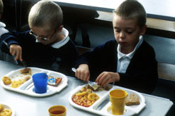 Image: school dinners