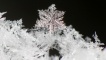 Bleideag sneachda