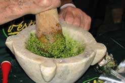 Pesto
