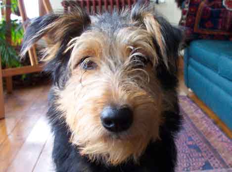 Barkly
