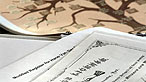family tree - www.istockphoto.com