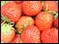 The Shenfield Strawberry Fair 