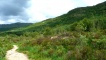 an open glen