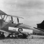 Tiger Moth