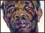 Charlie Abrew by Maggi Hambling 