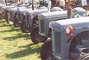 Steam Rally