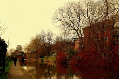 Quiet walk