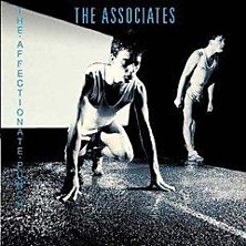 Review of The Affectionate Punch