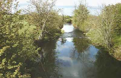 Agivey River at Cullycapple Bridge, Aghadowey.  Photograph taken by Pearl Hutchinson