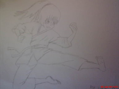 Kung fu girl