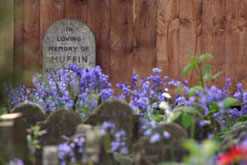 pet cemetery