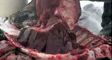 nenets's video screenshot thumbnail