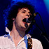 Fratellis