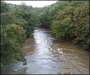 The Torridge