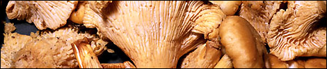 Shittake mushrooms