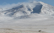 Chriu walking across vast expanse of frozen plain ©George Chan