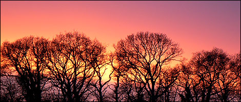 Winter sunset