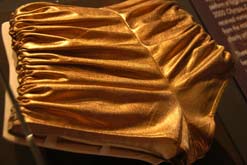 Kylie's gold hotpants