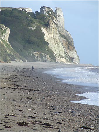 Hooken Undercliff