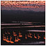 Martin Mere at dusk c/o WWT and Richard Taylor-Jones