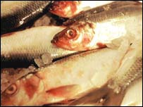 Peixe