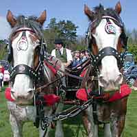 Original delivery truck with 2 horse-power