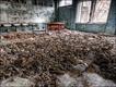 Foto: Timm Suess (http://timmsuess.com/decay)