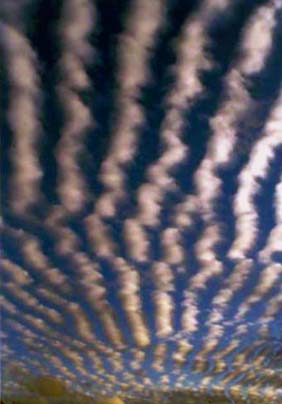Cirrus clouds at twilight