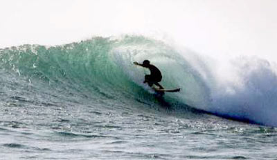 www.amigosurfmexico.com