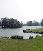 Y Llyn