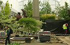 Work on the Hillier's stand