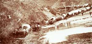 Pioneer wagons
