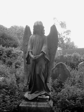 Angel of the dammed