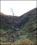Bronte waterfall