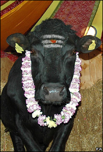 शंभू