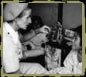 Marie Stopes