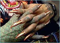 Cat's claws
