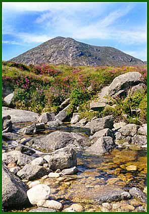 Slieve Lamagan and a mountain stream