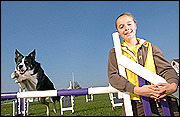 Dog agility