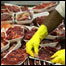 Carne