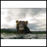 Imagem premiada em concurso (Foto: Sergey Gorshkov/Shell Wildlife Photographer of the Year 2007)