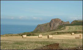 Arable farm