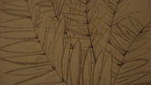 Sketched leaves...