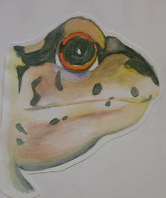 Frog