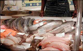 Fish