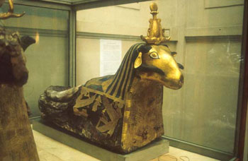Mummy of a ram
