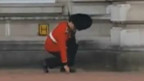 傻步操卫兵